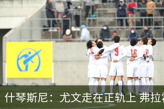 什琴斯尼：尤文走在正轨上 弗拉霍维奇非常出色